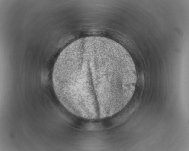 X0000113240270200910221107