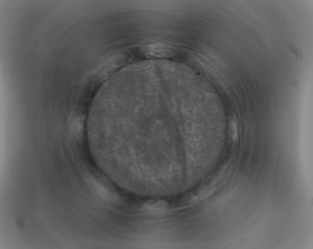 X0000113240271200910221107