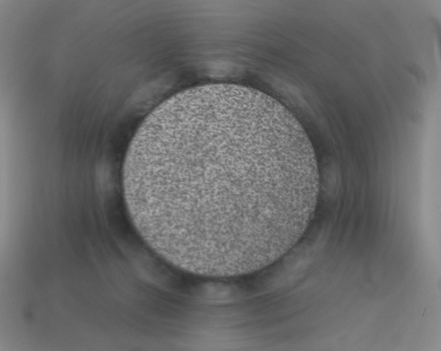X0000113240272200910221107