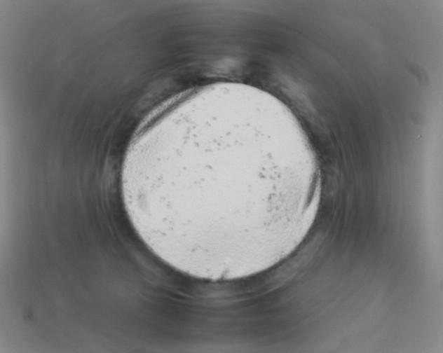 X0000113240273200910221107