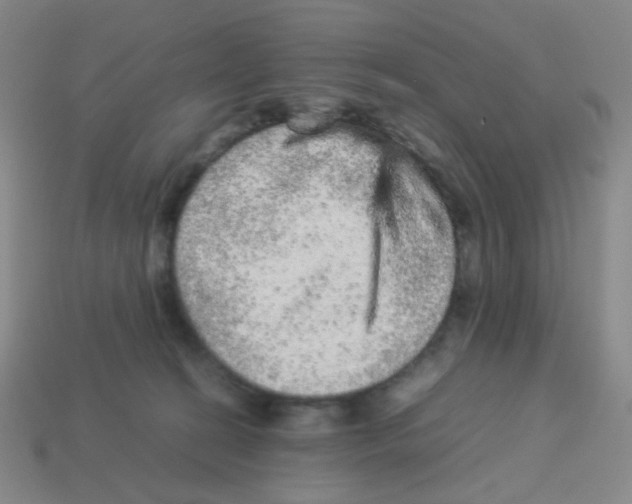 X0000113240274200910221107