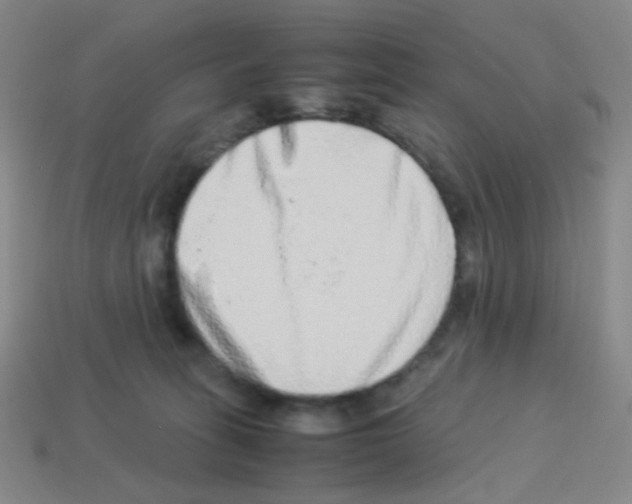 X0000113240275200910221107