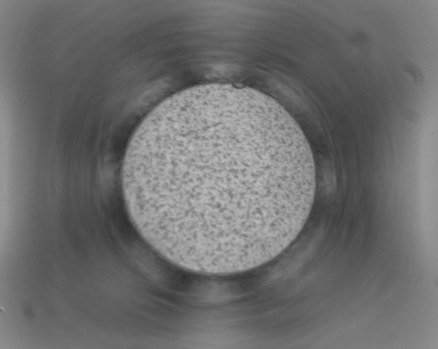 X0000113240276200910221107