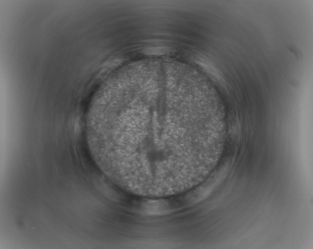 X0000113240277200910221107