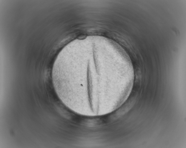 X0000113240278200910221107