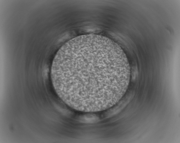 X0000113240279200910221107