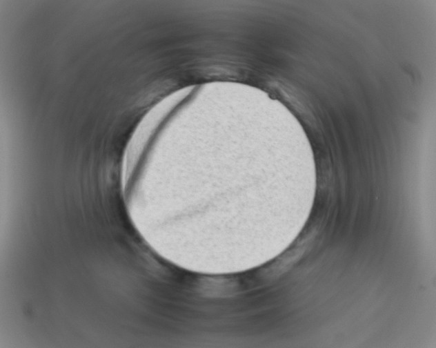X0000113240281200910221107