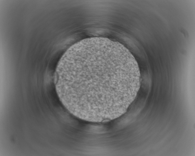 X0000113240284200910221107