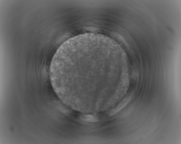 X0000113240285200910221107