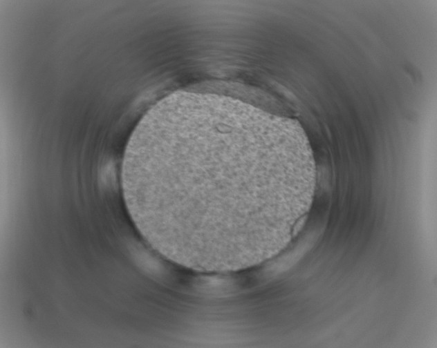 X0000113240286200910221107