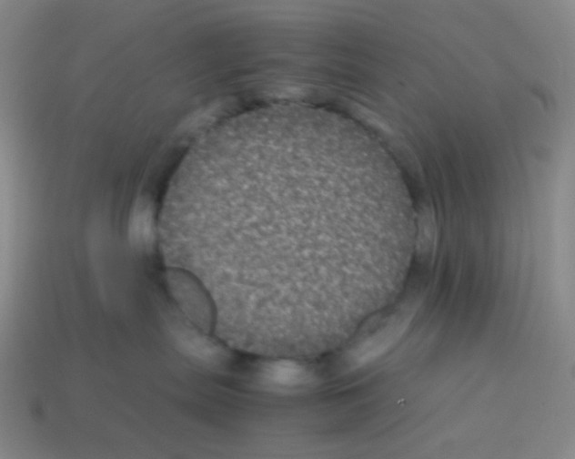 X0000113240287200910221107