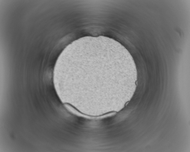 X0000113240288200910221107