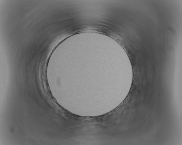 X0000113240289200910221106