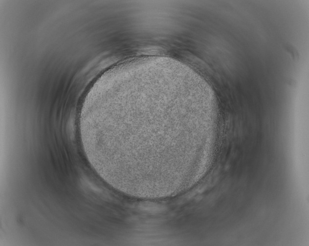 X0000113240290200910221106