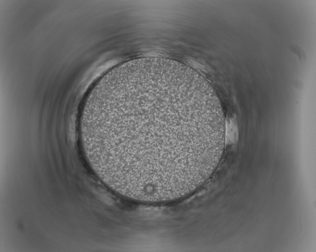 X0000113240291200910221106