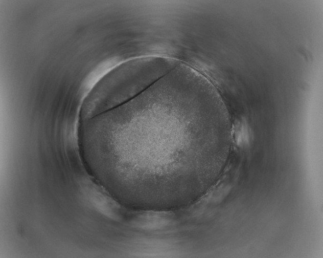 X0000113240292200910221106