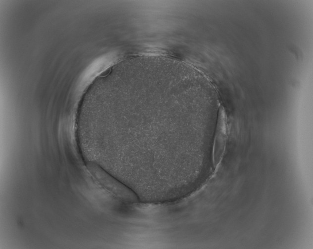 X0000113240293200910221106