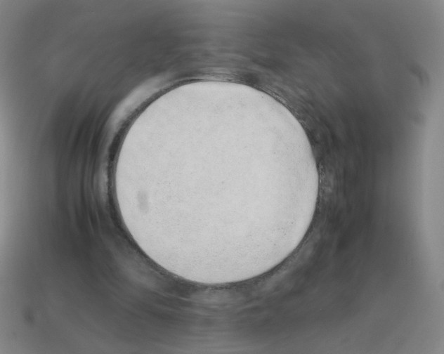 X0000113240294200910221106