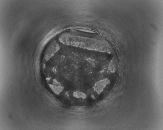 X0000113240295200910221106