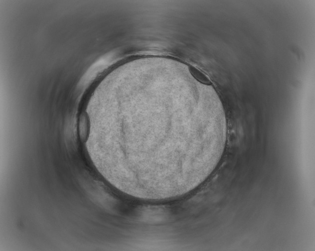 X0000113240296200910221106