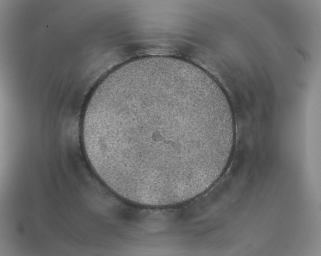 X0000113240297200910221106