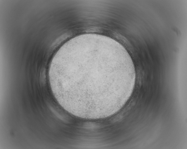 X0000113240298200910221106