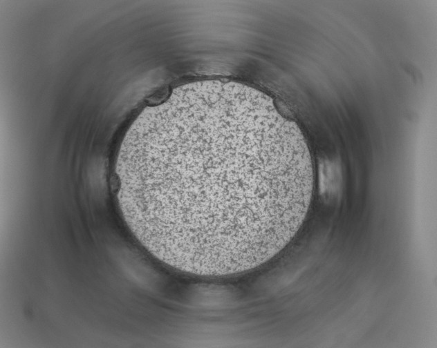 X0000113240300200910221106