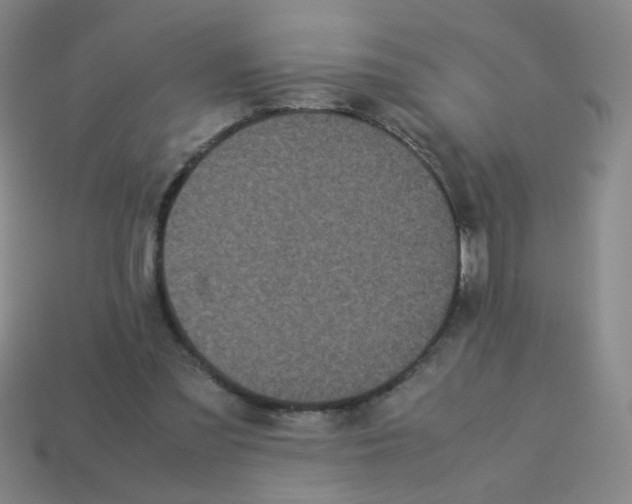 X0000113240301200910221106
