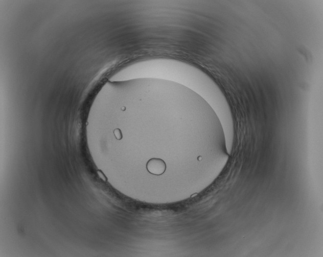 X0000113240304200910221106