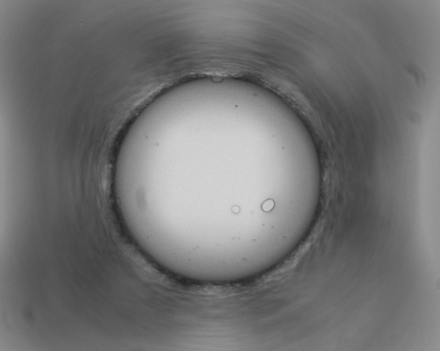 X0000113240305200910221106