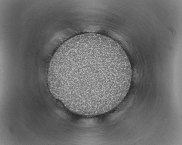 X0000113240307200910221106