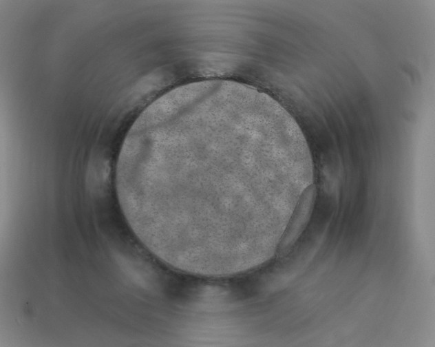 X0000113240308200910221106