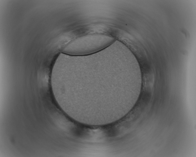 X0000113240309200910221106