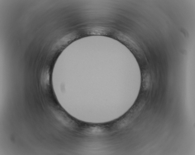X0000113240310200910221106