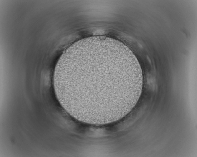 X0000113240311200910221106