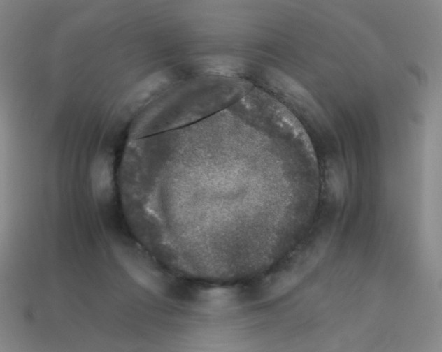 X0000113240312200910221106