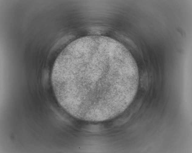 X0000113240314200910221106