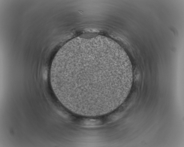 X0000113240315200910221106