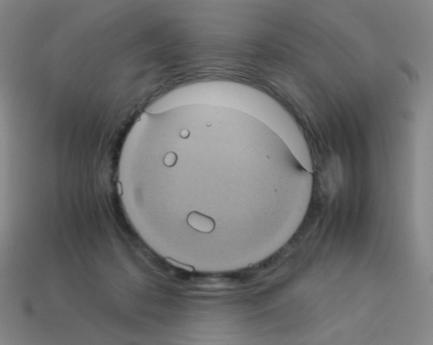 X0000113240316200910221106