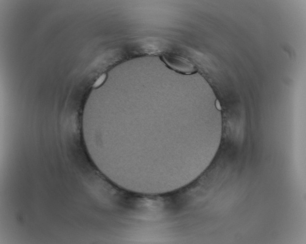 X0000113240317200910221106