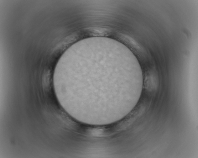 X0000113240318200910221106