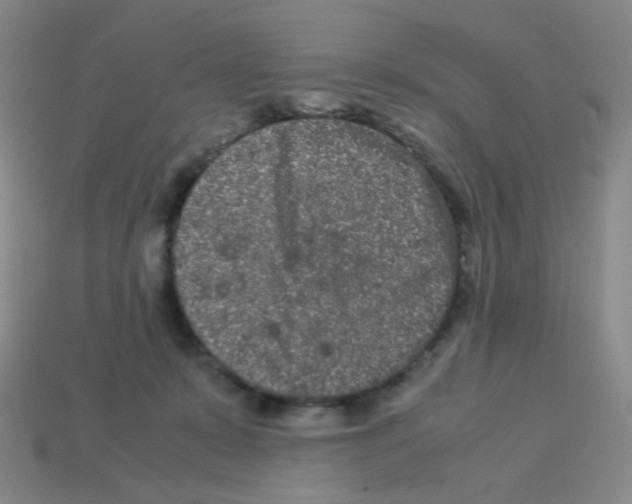 X0000113240319200910221106