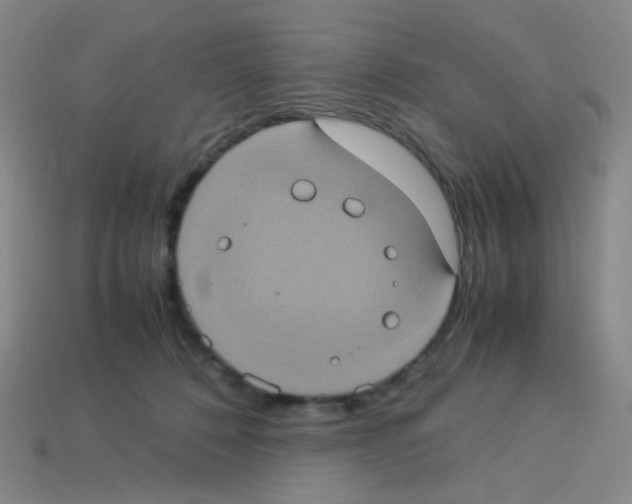X0000113240320200910221106