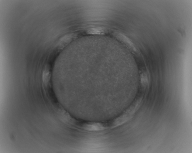 X0000113240322200910221106