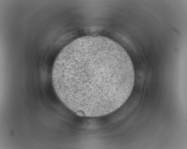 X0000113240324200910221106