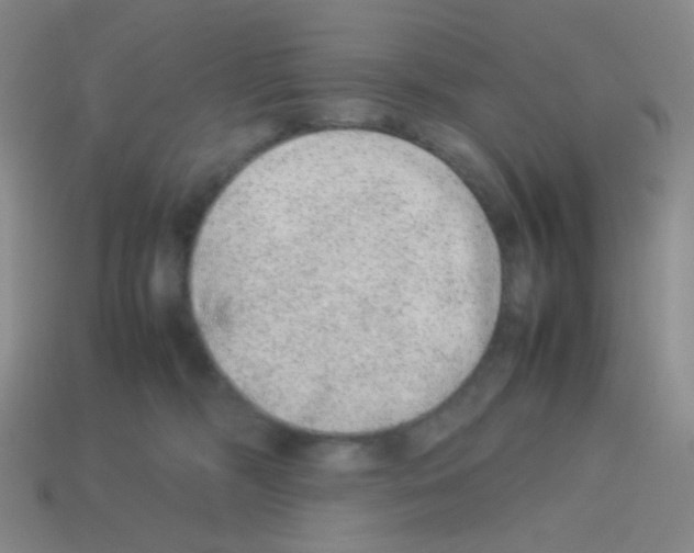 X0000113240326200910221106