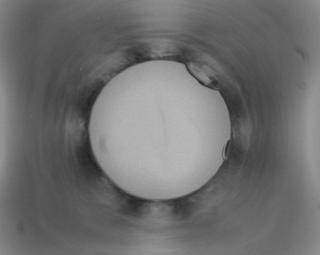 X0000113240327200910221106