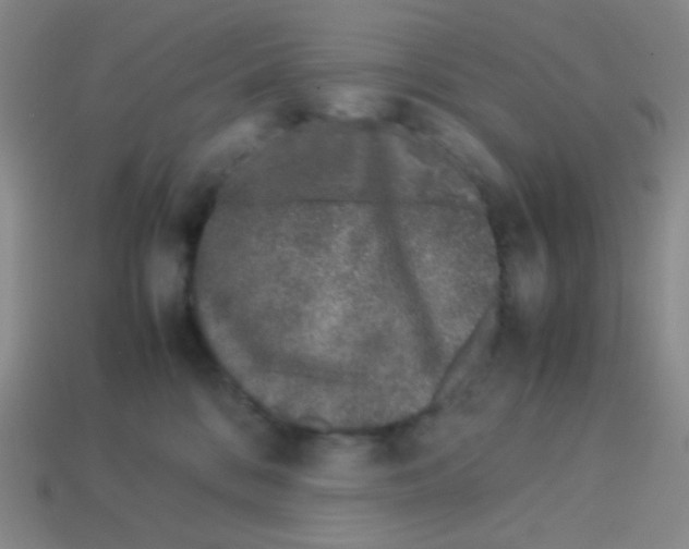 X0000113240328200910221106
