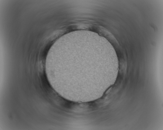 X0000113240329200910221106
