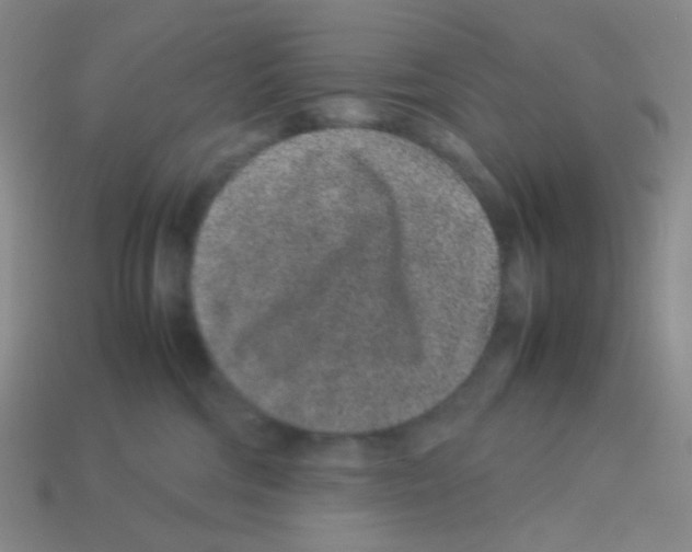 X0000113240330200910221106